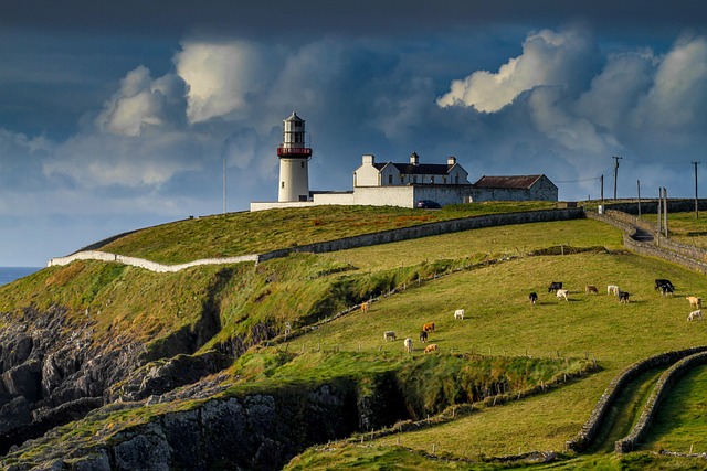image for homepage